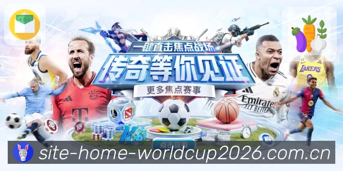 奖项证书